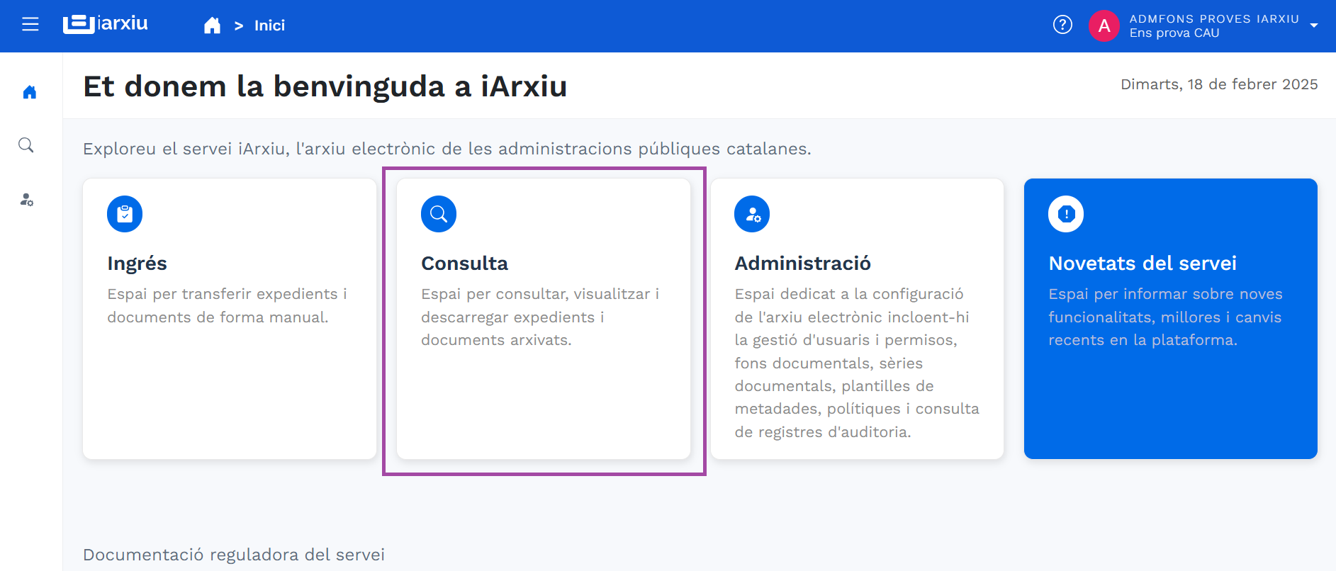 Inicio consulta